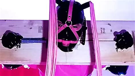 Sissy Maid Pain Pleasure Bondage Canadian Shemale BDSM Porn XHamster