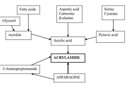 2 Formation Routes Of Acrylamide Download Scientific Diagram