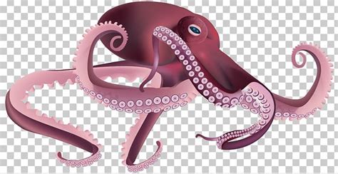 Octopus Computer Icons PNG, Clipart, Animation, Cephalopod, Common ...