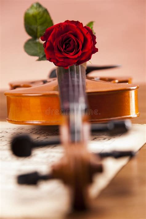 Beautiful Roses And Violin Stock Image Image Of Note Antique 27556625