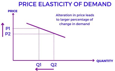 Elasticity Of Demand Graph Table Determinants Types Importance