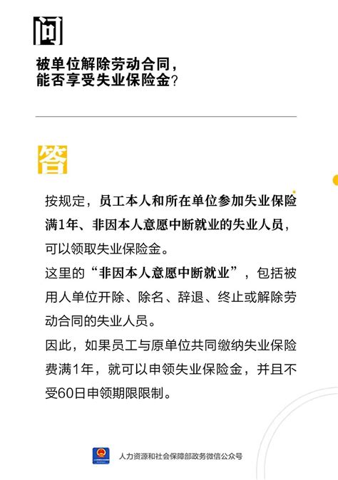 【人社日课·10月20日】被单位解除劳动合同，能否享受失业保险金？ 求职必读 永就业