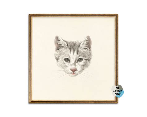 Cat Face Drawing Cute Cat Head Sketch Cat Pencil Portrait Artwork Cat ...