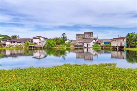 Marshy Village Scenery In Bang Muang Stock Image Image Of Khao Bang