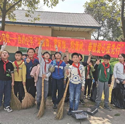 西洲小学：学雷锋，爱环保，树新风，西洲学子我先行活动垃圾袋河堤