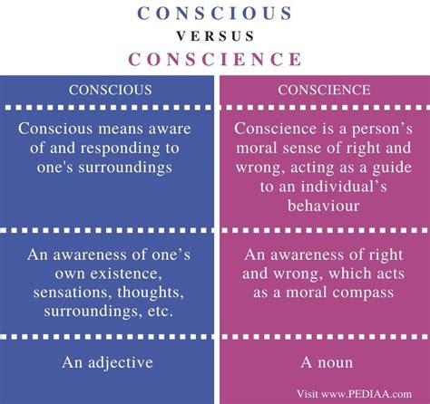 Difference Between Conscious And Conscience Pediaacom