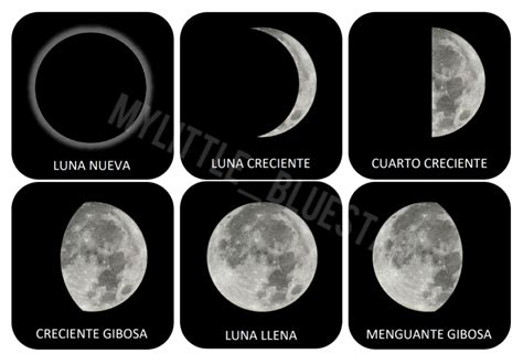 Cuales Son Las Fases Lunares