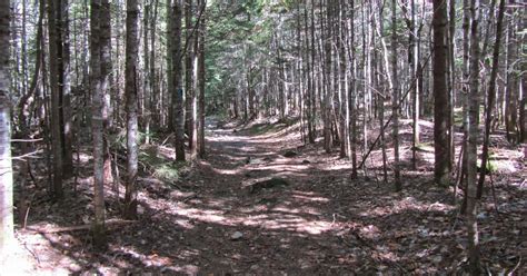 Tomcat's Outdoor Adventures: Katahdin Lake