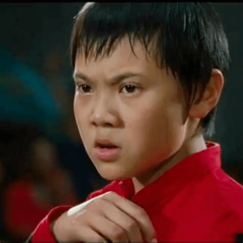 Zhenwei Wang Karate Kid - Harold zwart buy the movie: