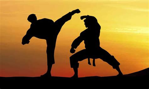 Faixas Kyokushinkaikan Técnicas De Artes Marciais Marcial Artes Marciais