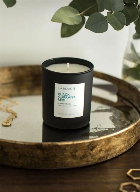 La Bougie Blackcurrant Leaf Candle Blarney