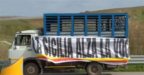 Continua La Protesta Degli Agricoltori Siciliani