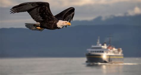 Most Beautiful Ferry Rides You Can Take In The U S