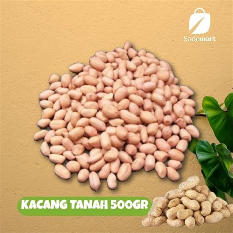 Jual KACANG TANAH MENTAH KEMASAN 500GR Shopee Indonesia