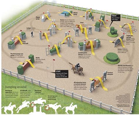 Infographic Design Show Horses Show Jumping Horse Jumping