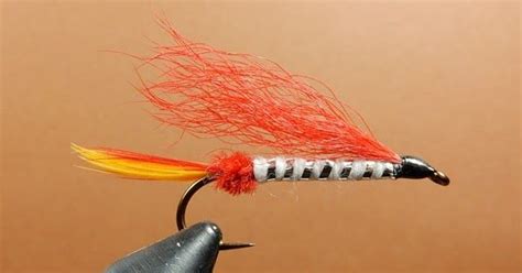 Lady Godiva Fly Fishing Basics Steelhead Flies Fly Tying