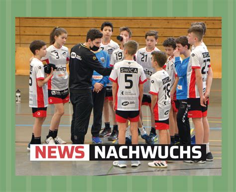 Pfadi Bilanz Zum Jahresabschluss Pfadi Winterthur Handball