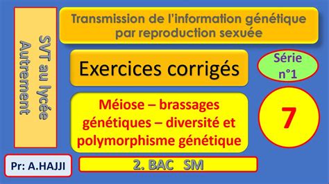 Exercices Qcm Corrig S Sur La M Iose Brassages G N Tiques Et