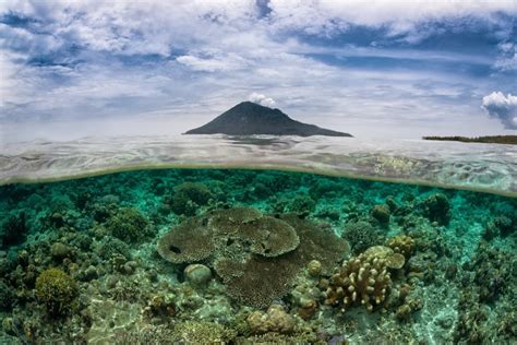 Bunaken National Park Wonderfull Images