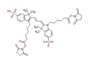 Cy Peg N Azide Cyanine Azide Azido Cy Csdn