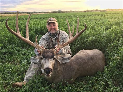 Arizona Mule Deer Quality Hunts Hunt Provider