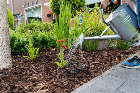 Een Groener Nederland Begint In Je Eigen Tuin Nationale Tuin