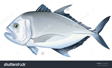 Collection of Ulua Fish PNG. | PlusPNG