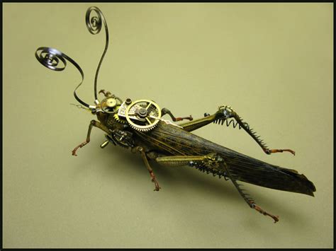 Steampunk Insects Spicytec