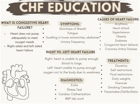 CHF Education Nursing Template Etsy