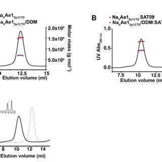 Structures Of Bacnav Pds A Superposition Of The Pore Domain Subunits