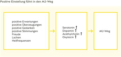 Arthrose Endlich Heilen