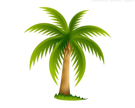 Palm tree, PSD web icon | PSDgraphics