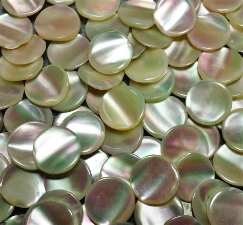 Mother Of Pearl Cabochon Round Disks Mm Pcs Buy Get Free