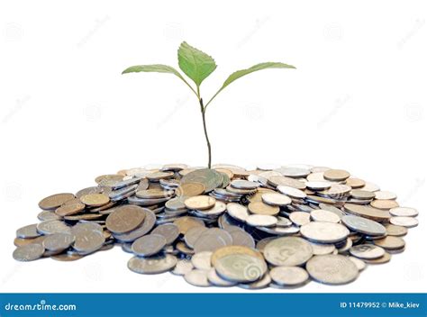 Growing Tree From Money Stock Photography - Image: 11479952