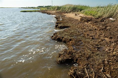 Chesapeake Bay Work In Progress