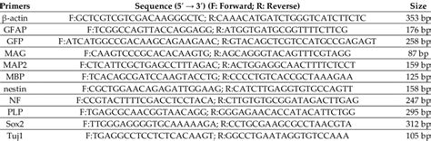 List And Sequences Of Mouse Primers Used For RT PCR Analysis