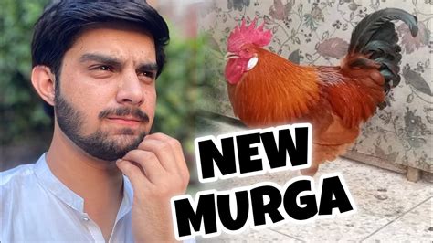 New Murga Ly Liya Bhai Saaab ️🥳 Sulemani Vlogs Youtube