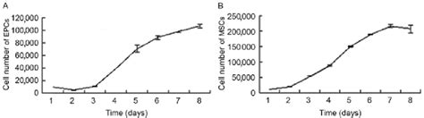 Growth Curves Of Cultured Human Uc Derived A Epcs And B Mscs Each Download Scientific