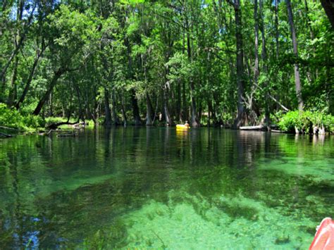 Ichetucknee Springs State Park - Tubing, Swimming, Camping and more!