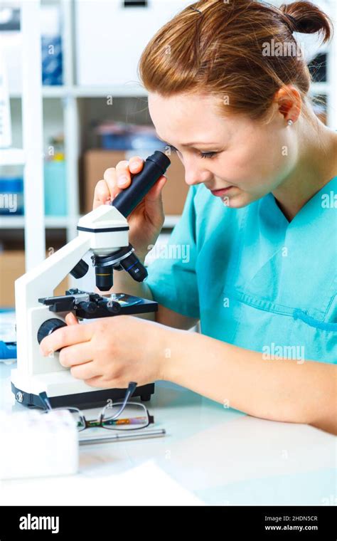 Research Lab Assistant Researchs Lab Assistants Stock Photo Alamy