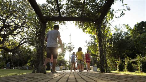 Parque Ecol Gico Do Passar Reaberto Ao P Blico Ap S Quase Dois Anos