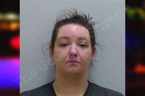 Haley Partin Bartow County Jail Bookings