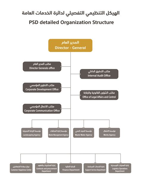 Organizational Structure