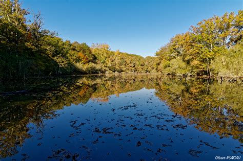 Le Plan D Eau Du Gesvres Olivier RONCALI Photographies