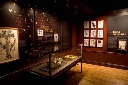 115 best Natural History Museum Exhibits images on Pinterest | History museum, Exhibit design ...