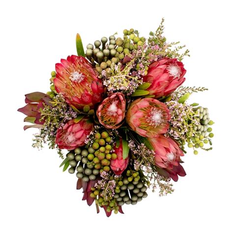 Protea And Fynbos Bunch Petals Designer Florist And Gift Shop