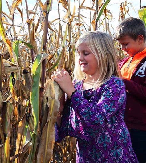 Corn Maze at Papa's Pumpkin Patch | Mt. Pleasant Area Convention & Visitors Bureau