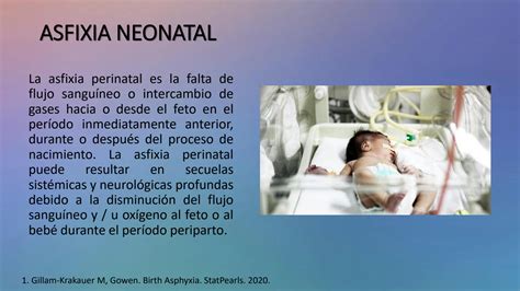 Solution Revisi N Bibliogr Fica Asfixia Neonatal Y Reanimaci N