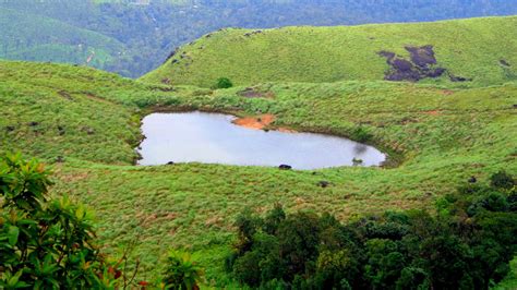 Things To Do In Wayanad Kerala Tourism