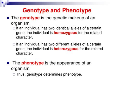 PPT - Genotype and Phenotype PowerPoint Presentation, free download ...